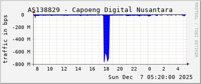 AS138829 - Capoeng Digital Nusantara
