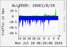 ALLPEER: 10GE1/0/29